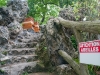Installation de deux ruches dans le parc Monceau.