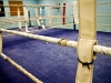 Boxe française - sur le ring